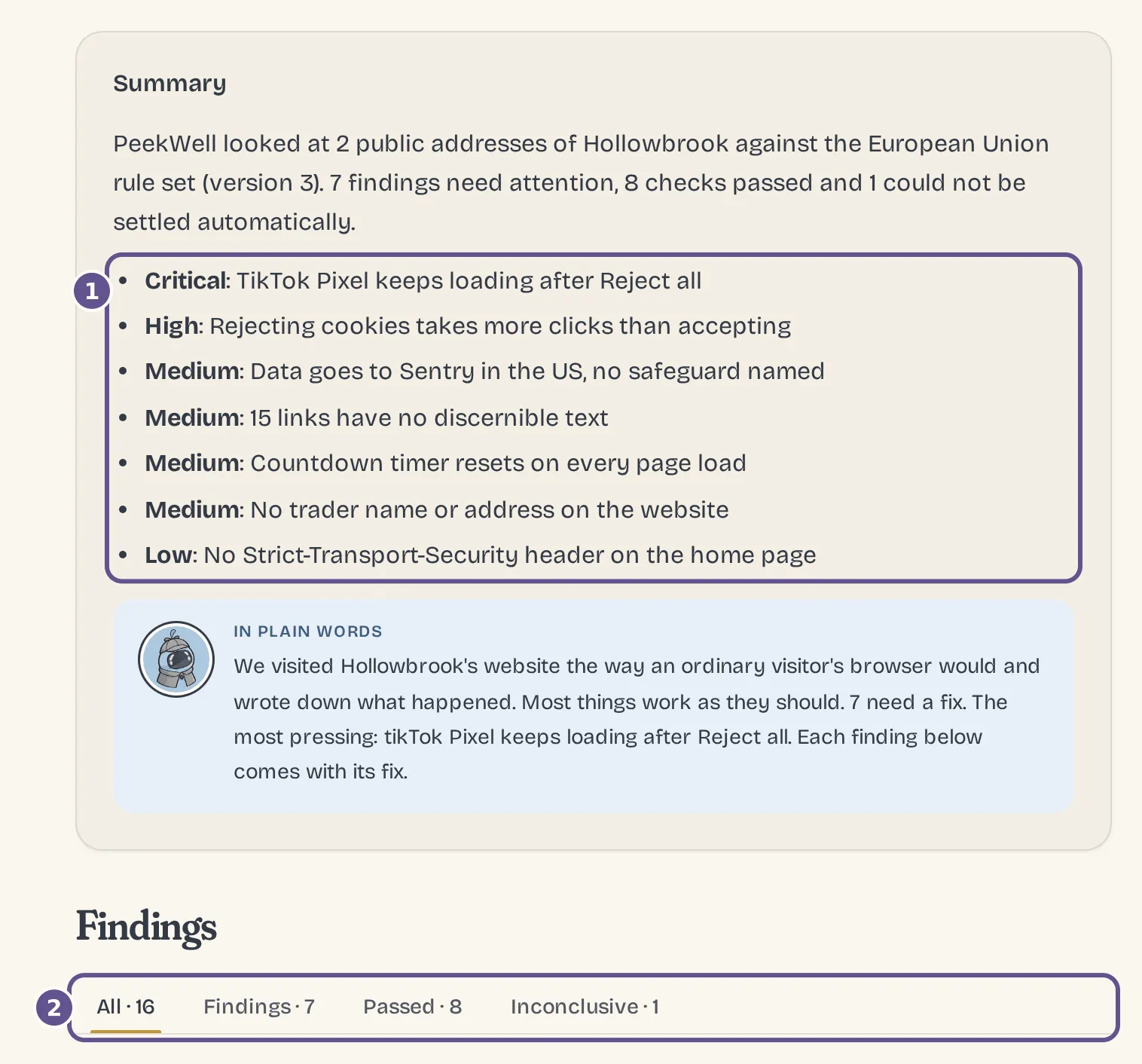The same report on Plus: the summary names every finding, and tabs sort findings, passes and checks that couldn’t be settled.